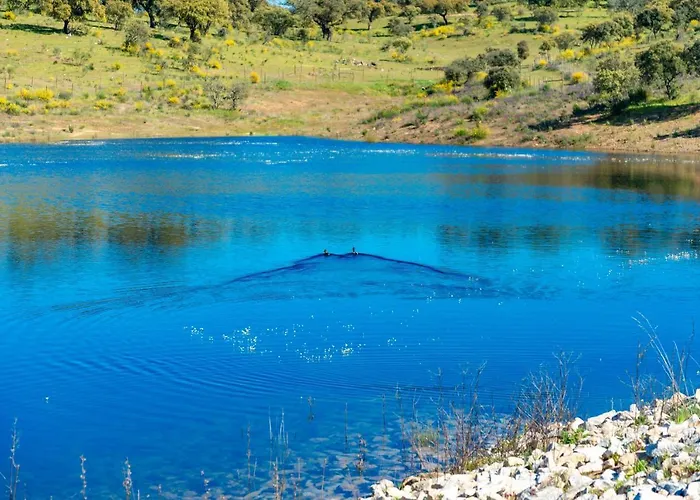 ヴィラ Moradia Gemea 2 Em Herdade Santa Marta *